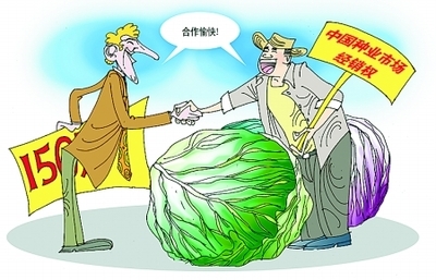 新野農(nóng)民買斷荷蘭蔬菜種子經(jīng)銷權(quán) 中國農(nóng)業(yè)的逆行突圍